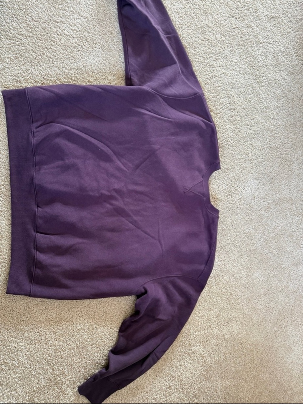 Aerie Cozy Crewneck Sweatshirt in Deep Plum